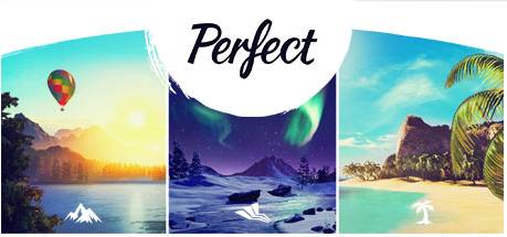 Perfect PC Steam Key