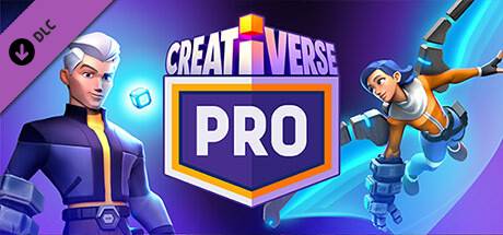 Pro Steam Key