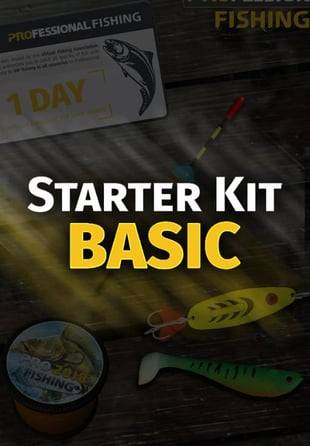 Starter Kit Basic PC Game Key