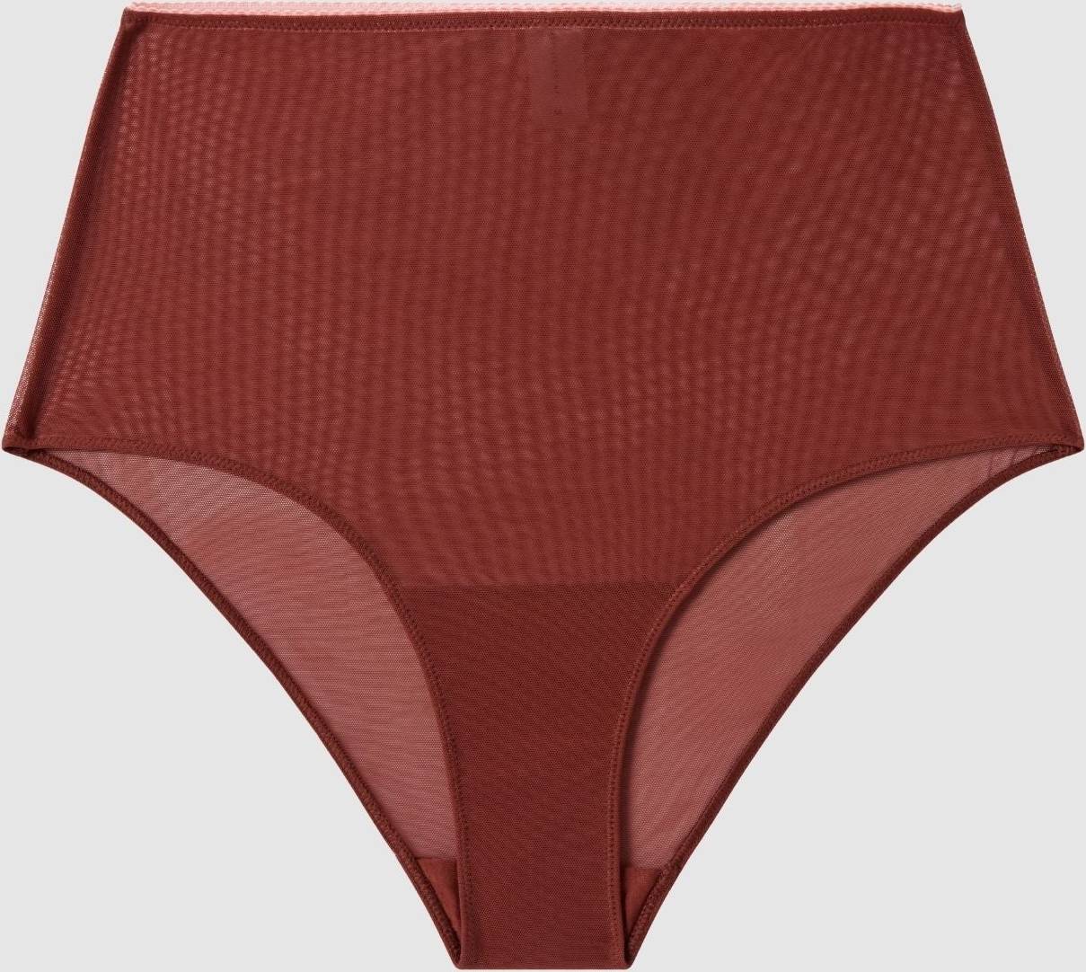 Understatement Mesh Highwaist Briefs - Rust