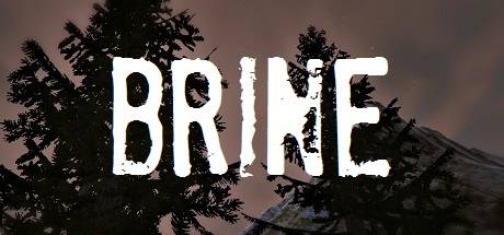 Brine PC Steam Key