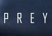 Prey RU VPN Required Steam CD Key