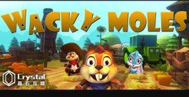 WackyMoles VR PC Steam Key