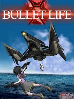 Bullet Life 2010 Steam CD Key