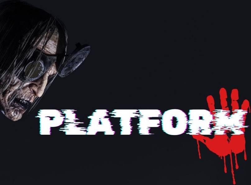Platform PC Steam Key