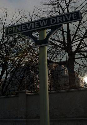 Pineview Drive PC Steam Key