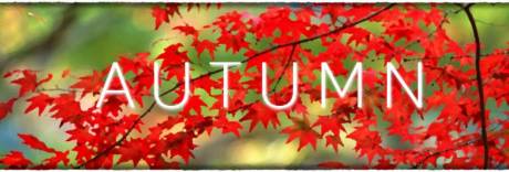 Autumn PC Steam Key