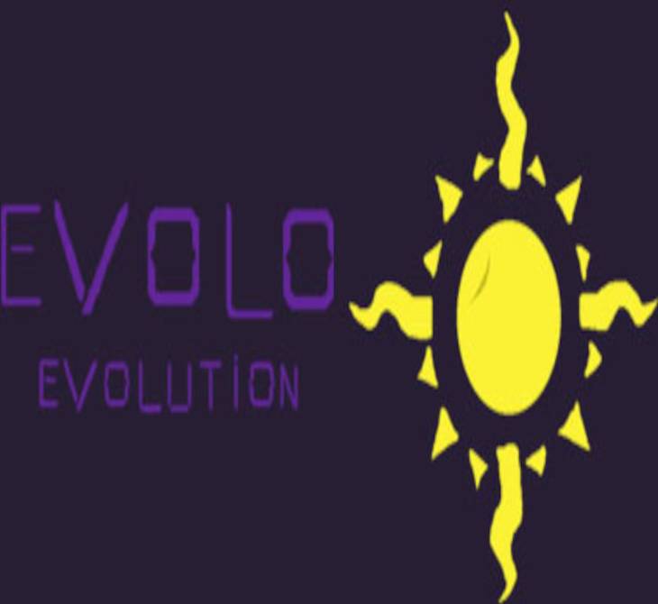 Evolo Evolution PC Steam Key