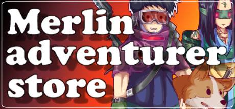 Merlin Adventurer Store PC Steam Key