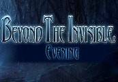 Beyond the Invisible Evening Steam CD Key