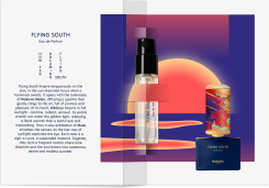 Flying South EdP Sample