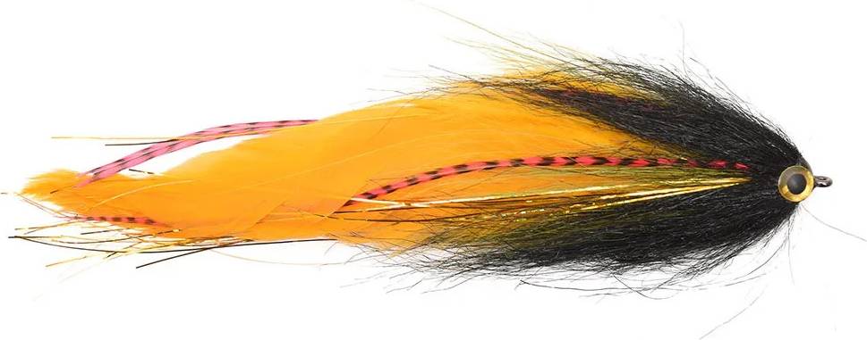 Vision Pike Rotten Carrot