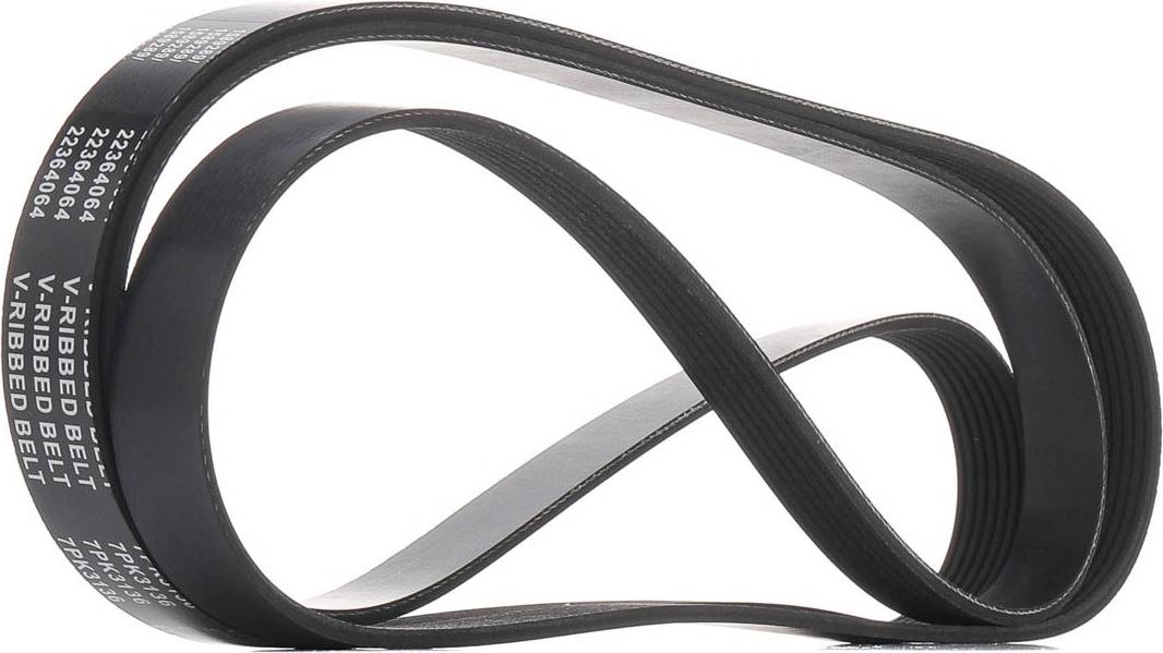 Ridex 305P0701 V-Ribbed Belt