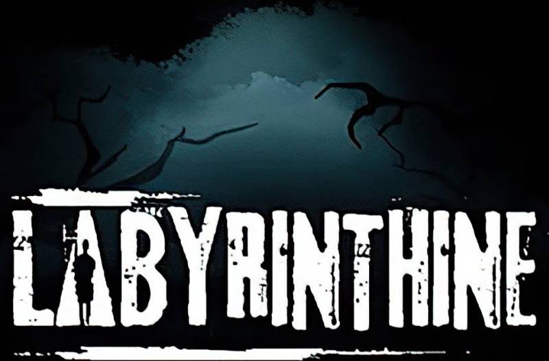 Labyrinthine PC Steam CD Key