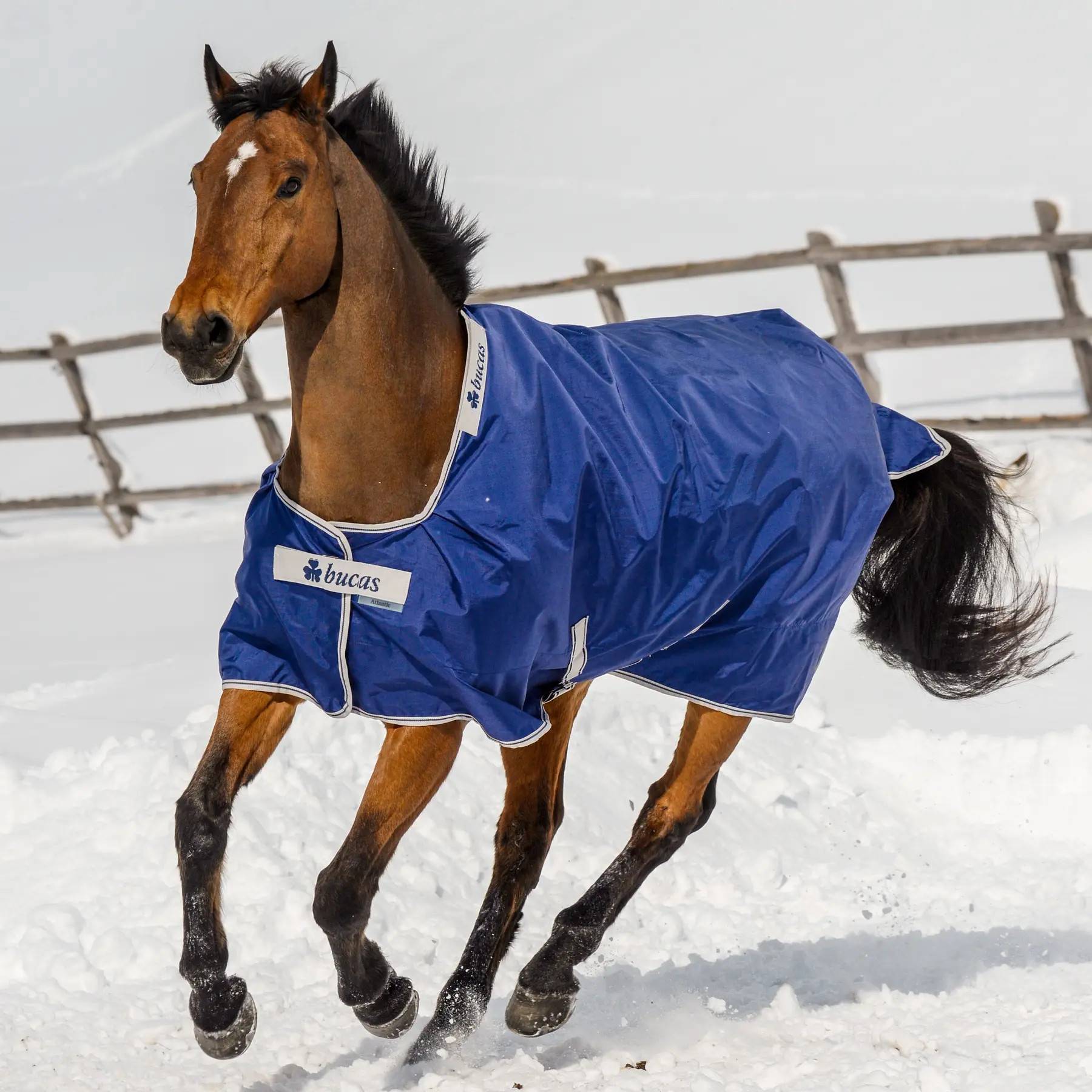 Bucas Neck Rug Atlantic Combi - Bleu