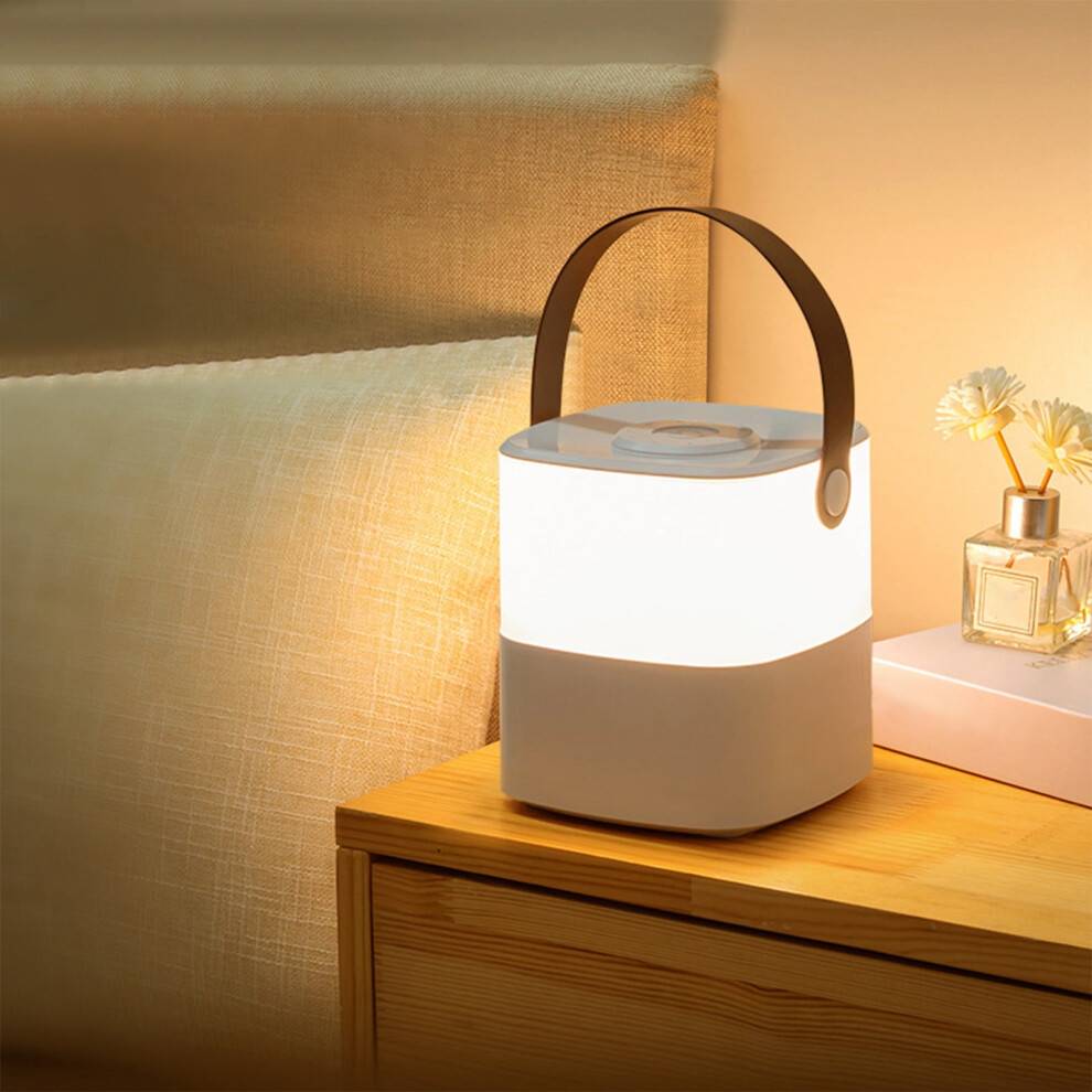 USB Rechargeable with Dimmable LEDs Night Light