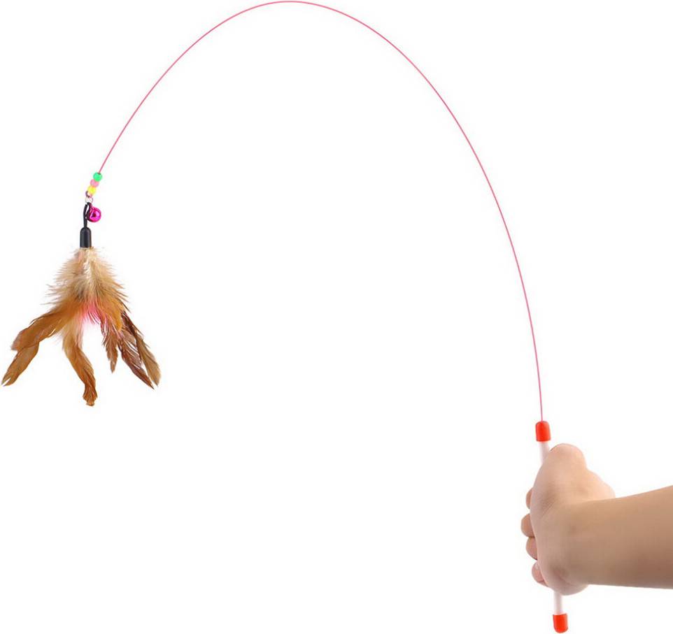 Pour Chat Avec Perles