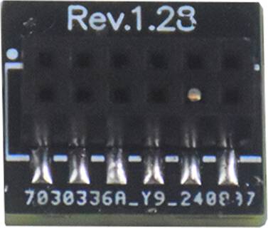 Tpm 2.0 TPM 2.0 Security Module 12 Pin SPI