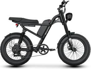 Elcykel Riding Times Z8