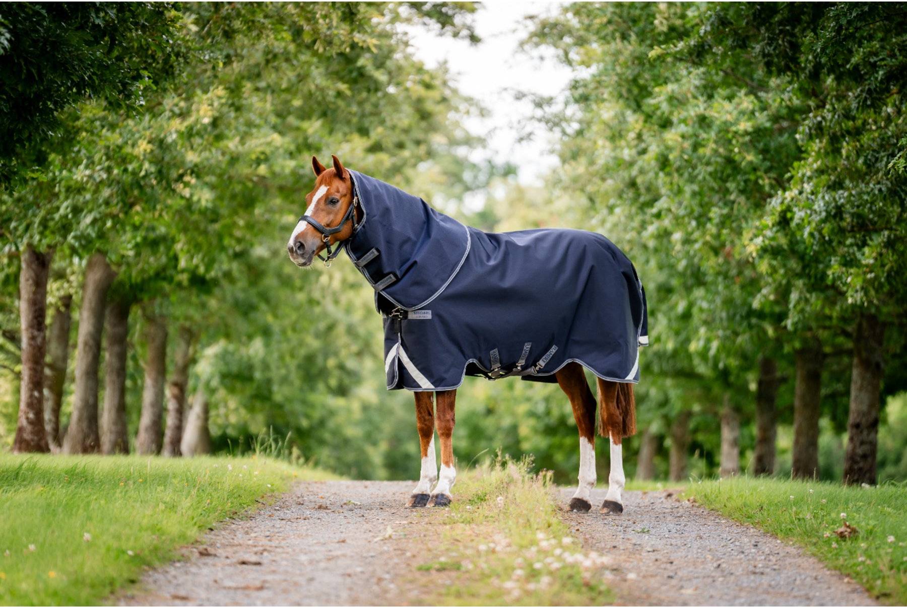 Horseware Rambo 1680D Plus 0G