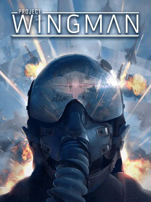 Project Wingman PC Steam Digital Code
