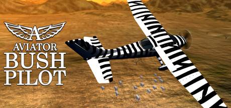 Bush Pilot Steam CD Key