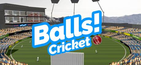 Virtual Reality Cricket Steam Key