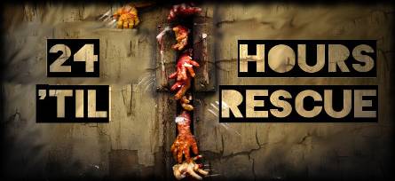 24 Hours Til Rescue PC Steam Key
