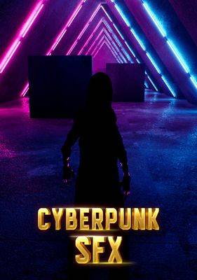 Cyberpunk SFX PC Steam CD Key