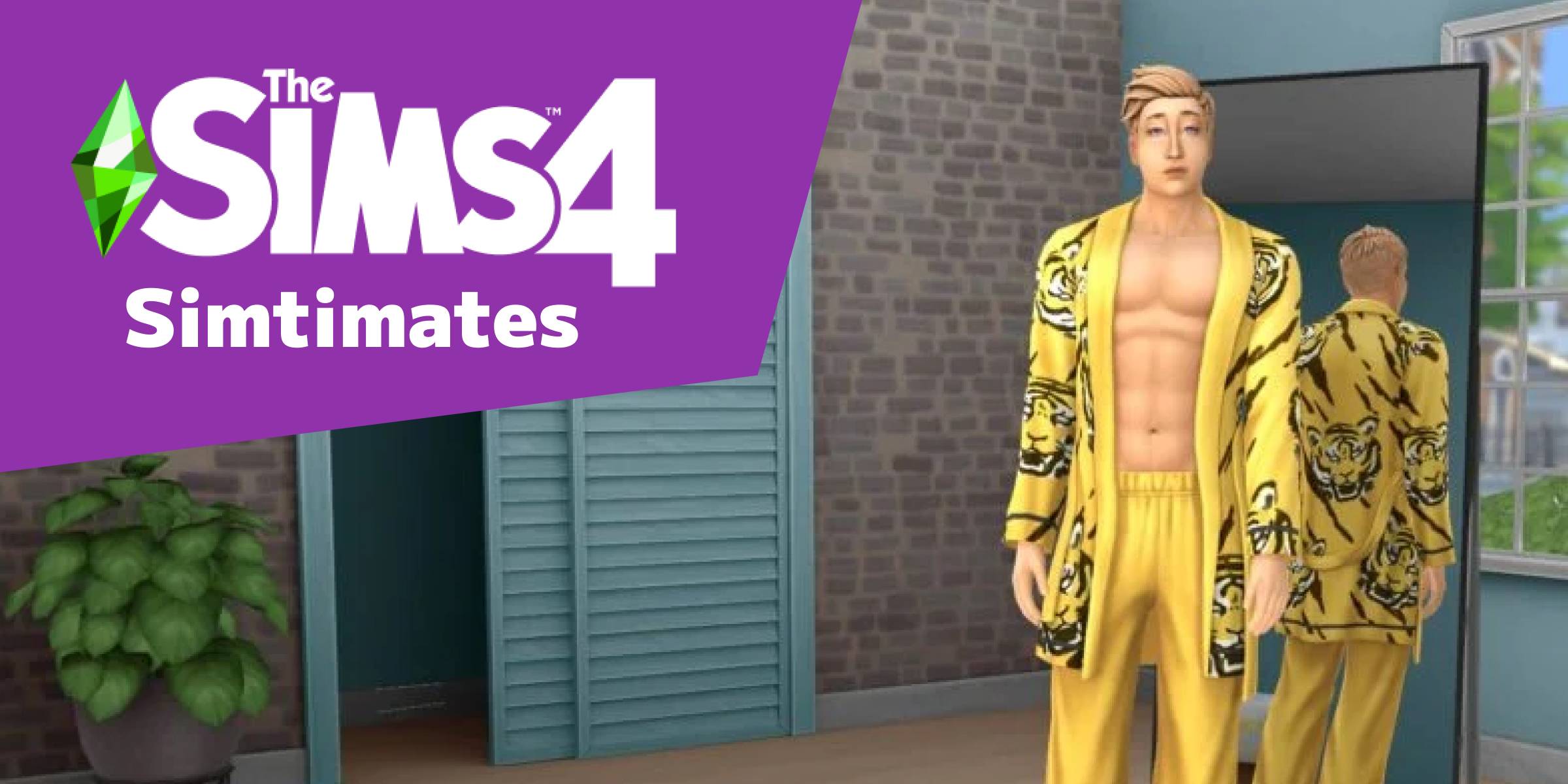 Sims 4 The Sims 4 Simtimates DLC