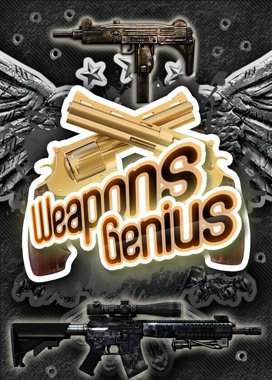 Weapons Genius PC Steam Key