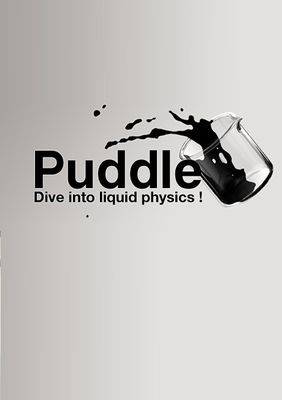 Puddle Steam Key Global
