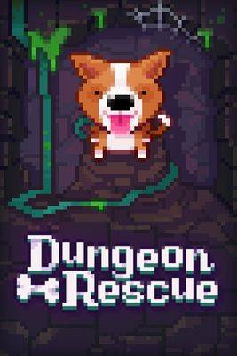 Fidel Dungeon Rescue PC Steam Key