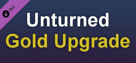 Permanent Gold Upgrade Steam Key