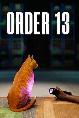 Order 13 PC Game Key