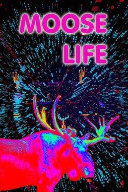 Moose Life PC Steam Key
