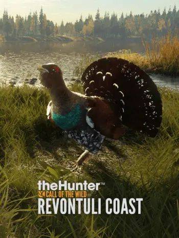 Revontuli Coast DLC PC Digital Code