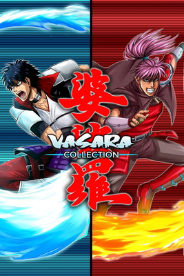 VASARA Collection PC Steam Key