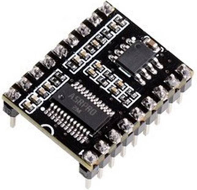Saudism ASR-PRO Module Contrôle Reconnaissance Vocale 2M