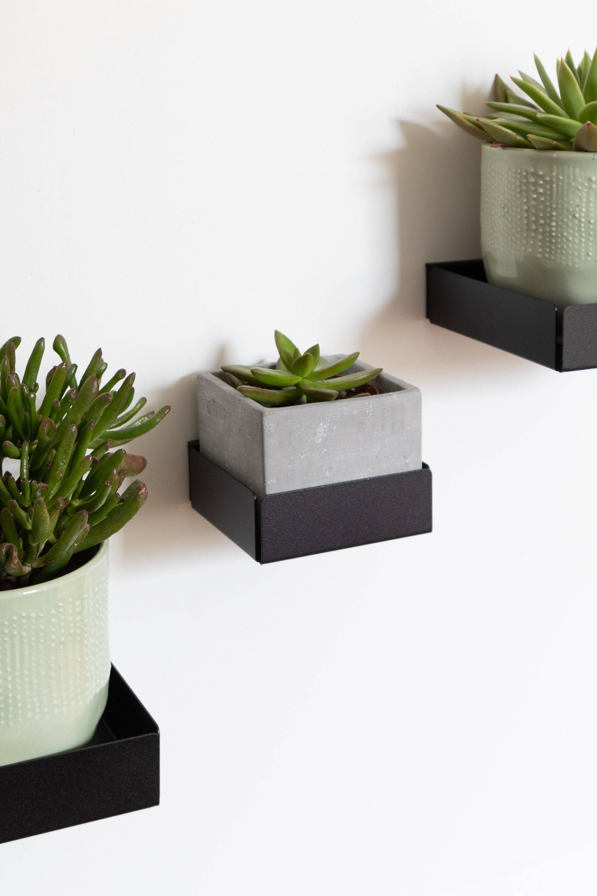 Etsy Magnetic Kitchen Shelf Powder Coated Steel Spice Rack