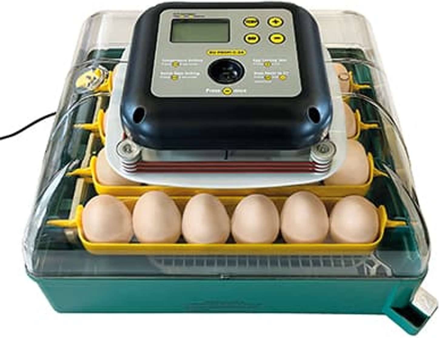 Kompakt Rugemaskin Auto 24 Egg