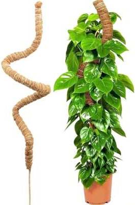 Shein DIY Bendable Plant Support Rods