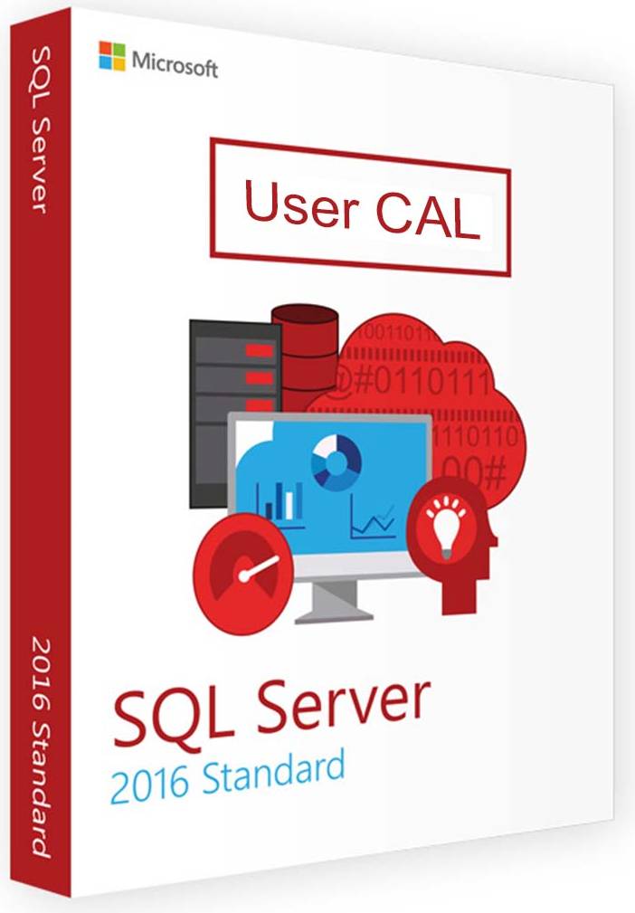 Microsoft SQL Server 2016 10 User CALs Lizenz