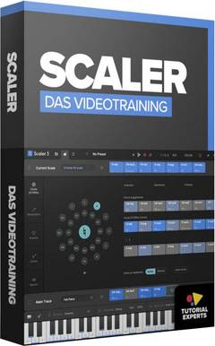 Tutorial Experts Scaler 3 Videotraining
