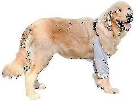 Dog Elbow Protector for Medium and Large Dogs
