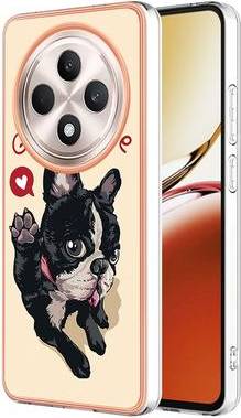 Oppo Reno12 F 5G Case IMD-D Pattern Printing
