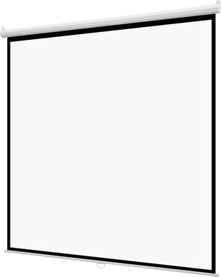 Manual Pull-Down Projector Screen 120-Inch