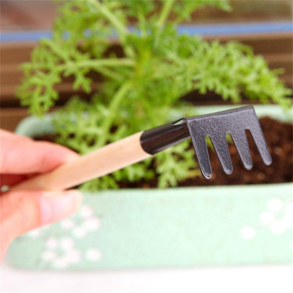 Mini Indoor Gardening Rake Tool