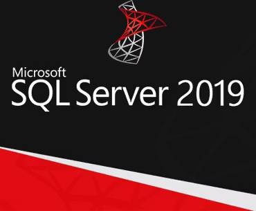 Microsoft SQL Server 2019 16 Printer