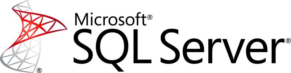 Microsoft SQL Server License Software CAL